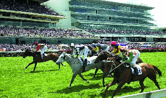Stand-Up Paddleboarding